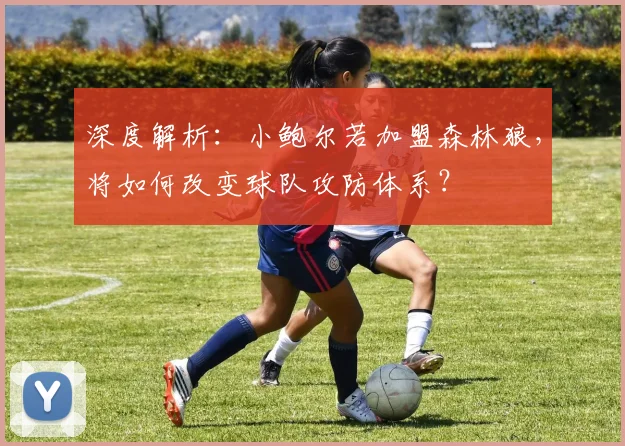 深度解析:小鲍尔若加盟森林狼,将如何改变球队攻防体系?